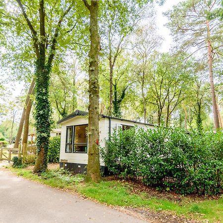 Veluwe Chalet Aan Het Bos - Kids - Pool - Dog Хундерло Екстериор снимка