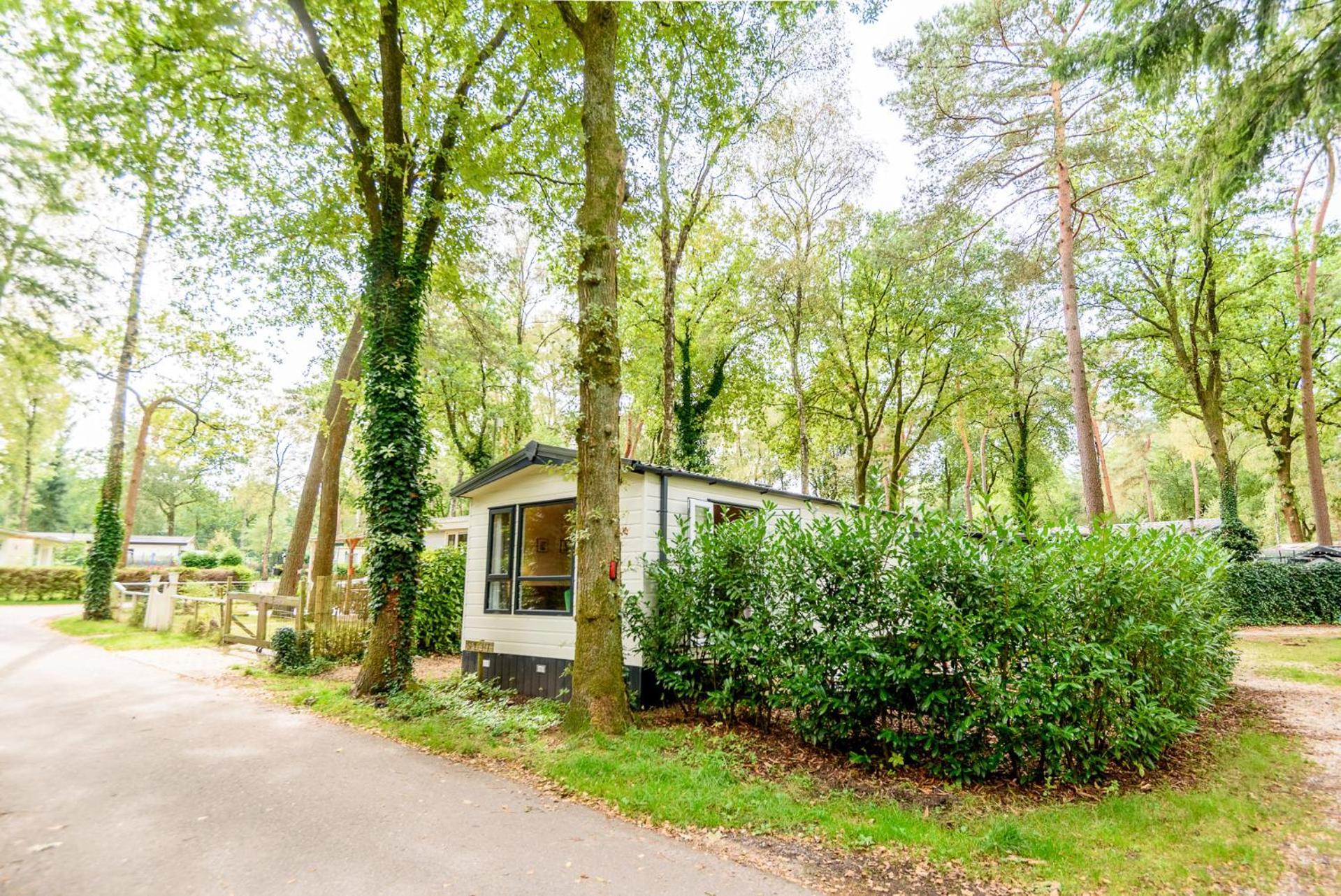 Veluwe Chalet Aan Het Bos - Kids - Pool - Dog Хундерло Екстериор снимка